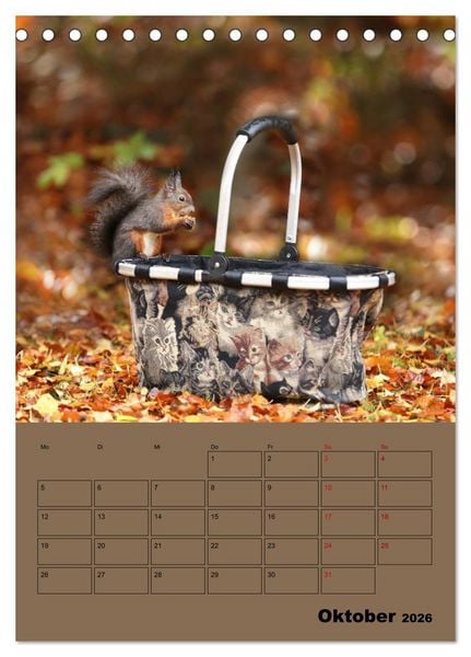 Produktbild: Eichh&ouml;rnchen - Planer (Tischkalender 2026 DIN A5 hoch), CALVENDO Monatskalender
