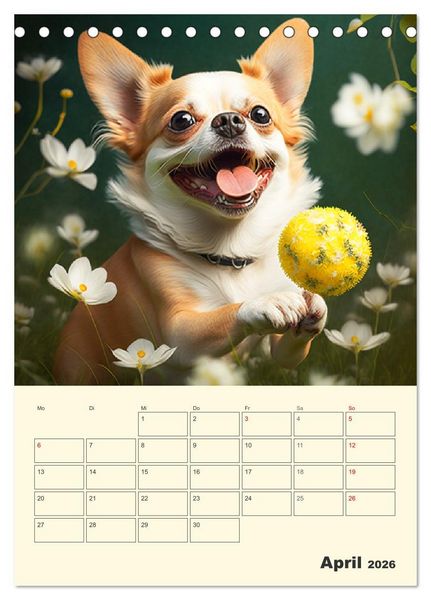 Produktbild: Witzige Chihuahuas. Gl&uuml;ckliche Temperamentb&uuml;ndel (Tischkalender 2026 DIN A5 hoch), CALVENDO Monatskalender