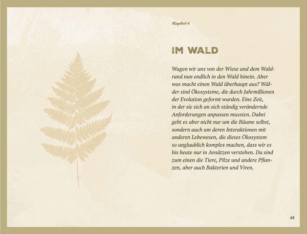 Waldgeheimnisse