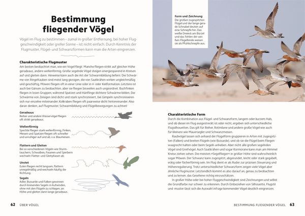 Produktbild: V&ouml;gel beobachten und ihre Lebensr&auml;ume kennenlernen