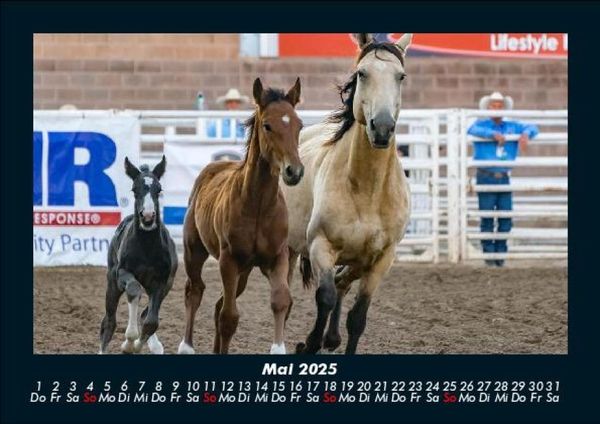 Produktbild: Pferde Kalender 2025 Fotokalender DIN A5