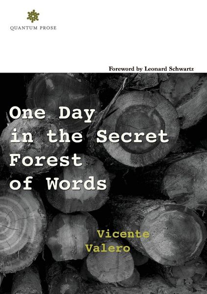 Produktbild: One Day in the Secret Forest of Words