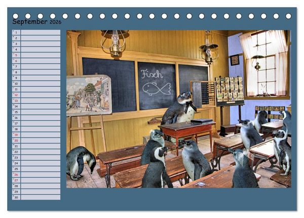 Produktbild: Pinguine privat Planer (Tischkalender 2026 DIN A5 quer), CALVENDO Monatskalender
