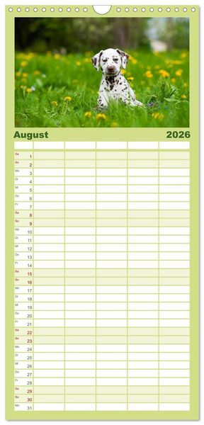 Produktbild: Familienplaner 2026 - Dalmatiner mit 5 Spalten (Wandkalender, 21 x 45 cm) CALVENDO