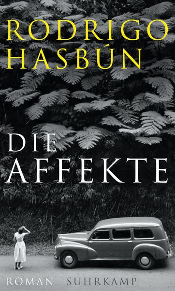 Produktbild: Die Affekte