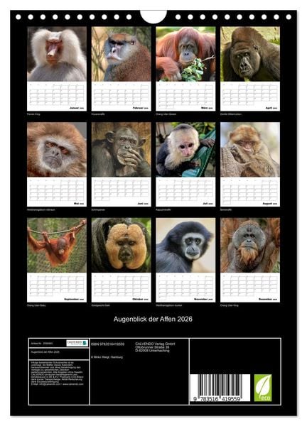 Produktbild: Augenblick der Affen 2026 (Wandkalender 2026 DIN A4 hoch), CALVENDO Monatskalender