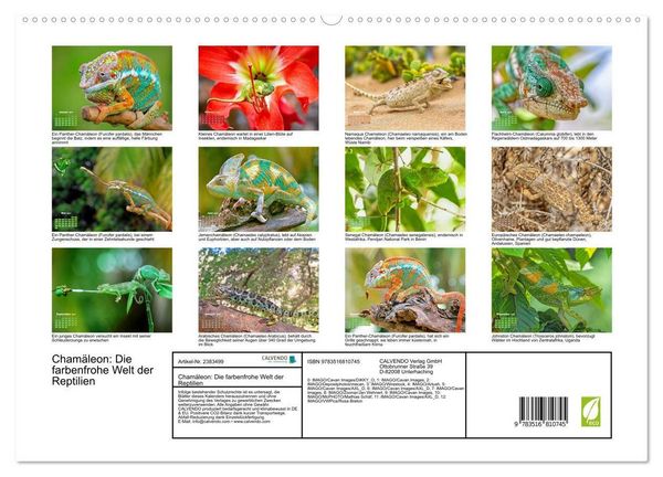 Produktbild: Cham&auml;leon: Die farbenfrohe Welt der Reptilien (hochwertiger Premium Wandkalender 2027 DIN A2 quer), Kunstdruck in Hochglanz