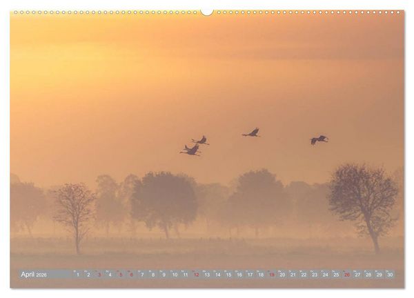 Produktbild: KranichRomantik (hochwertiger Premium Wandkalender 2026 DIN A2 quer), Kunstdruck in Hochglanz