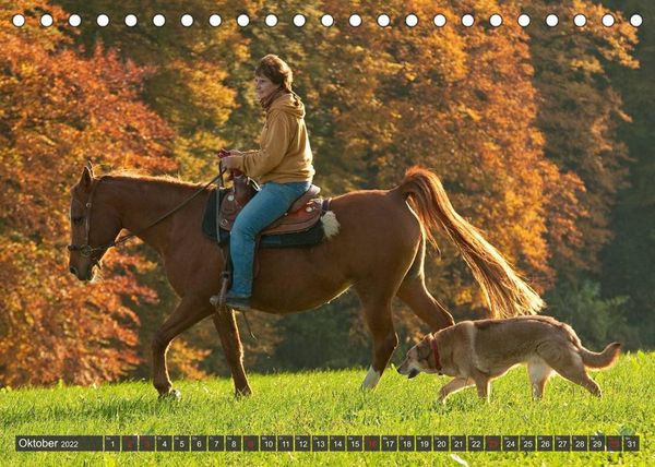 Produktbild: Pferd und Mensch in Harmonie (Tischkalender 2022 DIN A5 quer)