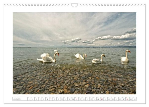 Produktbild: Melancholie-Bodensee 2026 (Wandkalender 2026 DIN A3 quer), CALVENDO Monatskalender