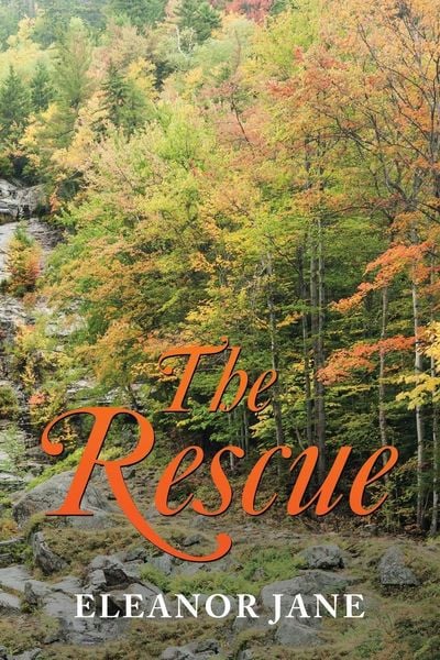 Produktbild: The Rescue