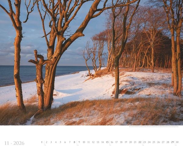 Produktbild: Deutsche Küsten 2026 - Bildkalender XXL 60x50 cm - hochwertiger Wandkalender im Querformat - Landschaftskalender - Wandplaner