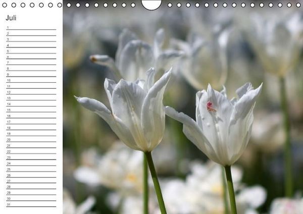 Produktbild: Ich denk an Dich ... Pers&ouml;nlicher Terminkalender (Wandkalender immerw&auml;hrend DIN A4 quer)