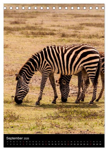 Produktbild: Wildes Afrika (Tischkalender 2026 DIN A5 hoch), CALVENDO Monatskalender