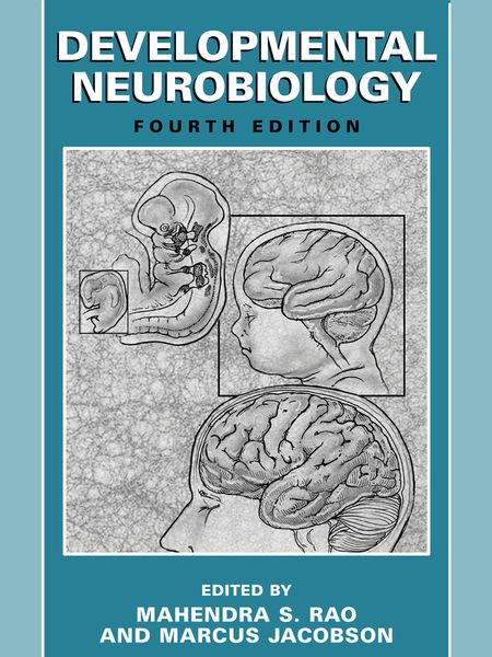 Produktbild: Developmental Neurobiology