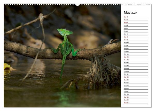 Produktbild: Feel the Wild &ndash; Costa Rica (High Quality Premium Wall Calendar 2027 DIN A2 landscape),CALVENDO 12 Month Wall Calendar