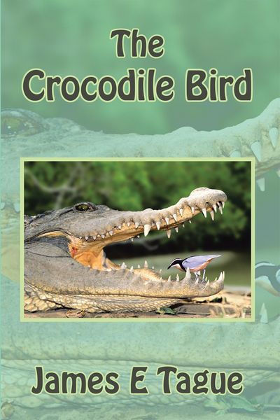 Produktbild: The Crocodile Bird