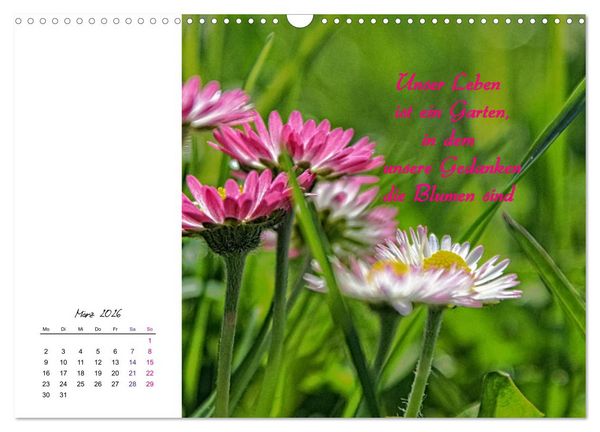 Produktbild: Innehalten in der Natur ... mit Weisheiten und Sprichworten der Indianer (Wandkalender 2026 DIN A3 quer), CALVENDO Monatskalender