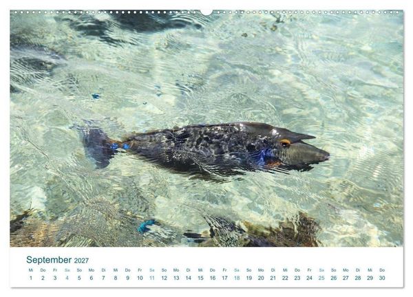 Produktbild: S&uuml;dsee-Insel Huahine - Paradies am Ende der Welt (hochwertiger Premium Wandkalender 2027 DIN A2 quer), Kunstdruck in Hochglanz