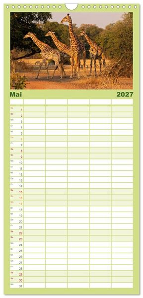 Produktbild: Familienplaner 2027 - Sambias gro&szlig;artige Tierwelt mit 5 Spalten (Wandkalender, 21 x 45 cm) CALVENDO