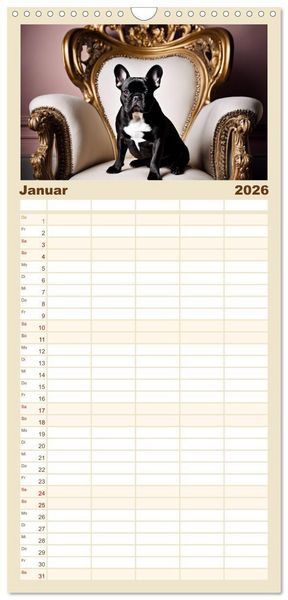 Produktbild: Familienplaner 2026 - Kleine K&ouml;nige - Franz&ouml;sische Bulldoggen mit 5 Spalten (Wandkalender, 21 x 45 cm) CALVENDO