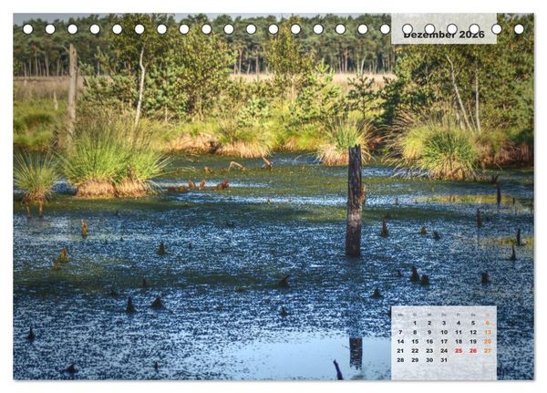 Produktbild: Niedersachsens Moorlandschaften - Das Pietzmoor, Schneverdingen (Tischkalender 2026 DIN A5 quer), CALVENDO Monatskalender
