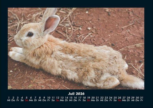 Produktbild: Haustierkalender 2026 Fotokalender DIN A4