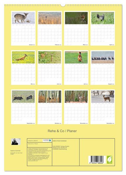 Produktbild: Rehe & Co / Planer (hochwertiger Premium Wandkalender 2026 DIN A2 hoch), Kunstdruck in Hochglanz