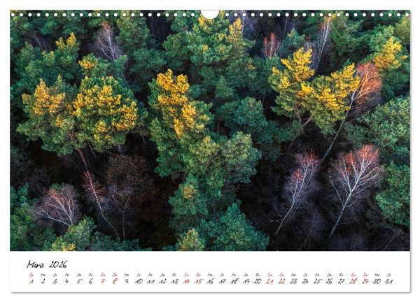Produktbild: Im Atem der B&auml;ume (Wandkalender 2026 DIN A3 quer), CALVENDO Monatskalender