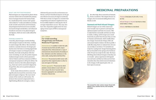 Produktbild: Edible & Medicinal Seaweeds