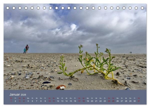 Produktbild: Norderney - Meine Trauminsel (Tischkalender 2026 DIN A5 quer), CALVENDO Monatskalender