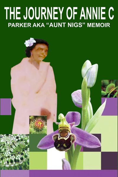 Produktbild: The Journey of Annie C. Parker AKA "Aunt Nigs" Memoir