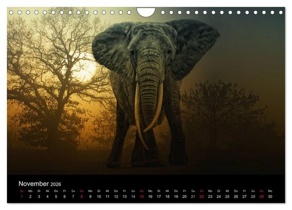 Produktbild: Tierisches (Wandkalender 2026 DIN A4 quer), CALVENDO Monatskalender