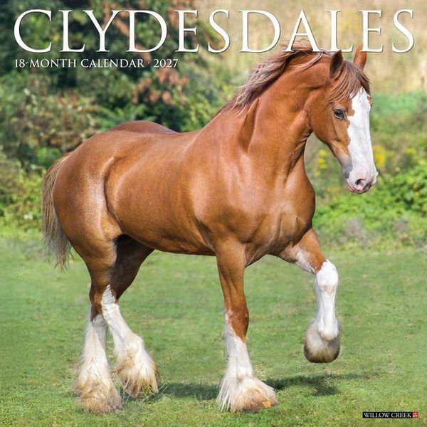 Produktbild: Clydesdales 2027 12 X 12 Wall Calendar