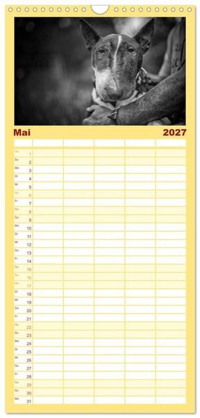 Produktbild: Familienplaner 2027 - Bullterrier mit 5 Spalten (Wandkalender, 21 x 45 cm) CALVENDO