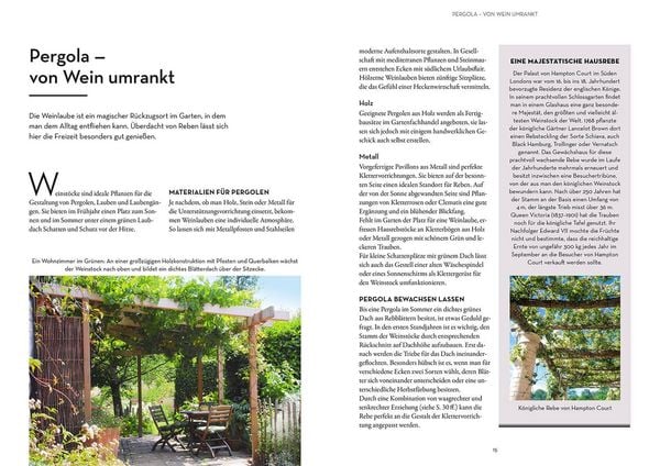 Produktbild: Wein im Garten anbauen & ernten
