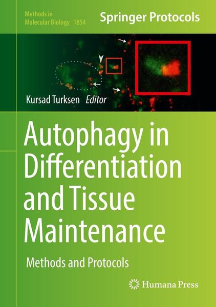 Produktbild: Autophagy in Differentiation and Tissue Maintenance