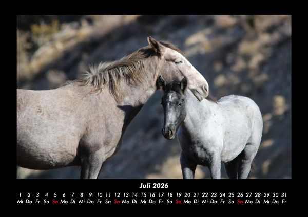 Produktbild: Tiere auf dem Bauernhof 2026 Fotokalender DIN A3