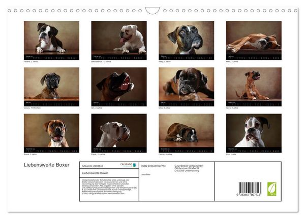 Produktbild: Liebenswerte Boxer (Wandkalender 2026 DIN A3 quer), CALVENDO Monatskalender