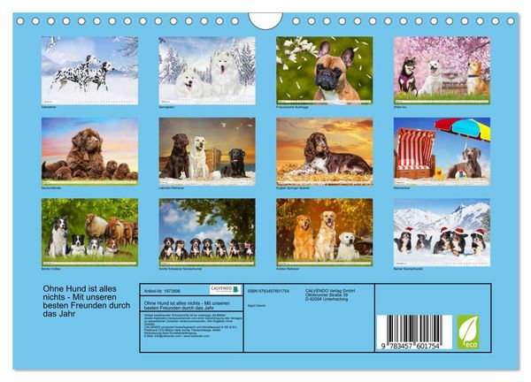 Produktbild: Ohne Hund ist alles nichts - Mit unseren besten Freunden durch das Jahr (Wandkalender 2026 DIN A4 quer), CALVENDO Monatskalender