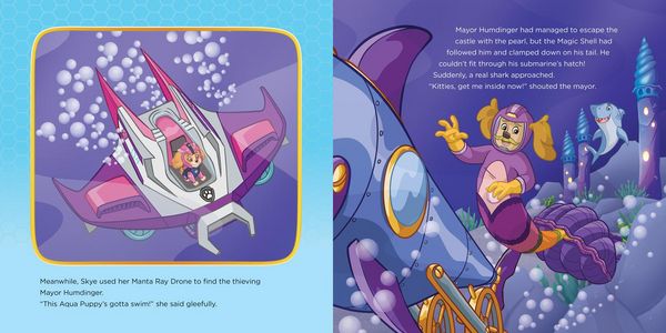Produktbild: PAW PATROL PICTURE BK DIVE PB