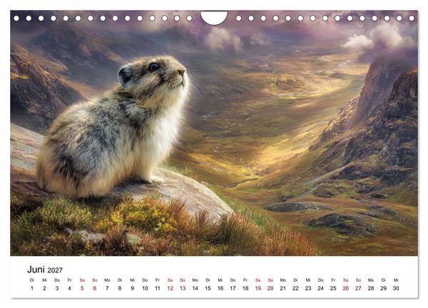 Produktbild: Lemminge - Kleine Helden der Tundra (Wandkalender 2027 DIN A4 quer), CALVENDO Monatskalender