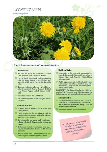 Produktbild: Meine Kr&auml;uter-Schatzkiste