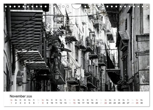 Produktbild: Silberstein portr&auml;tiert Palermo (Wandkalender 2026 DIN A4 quer), CALVENDO Monatskalender