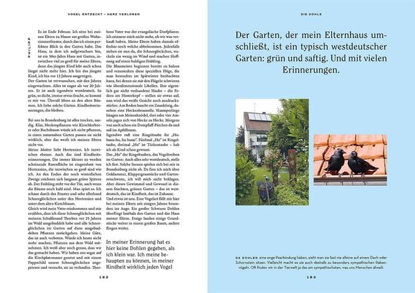 Produktbild: Vogel entdeckt - Herz verloren