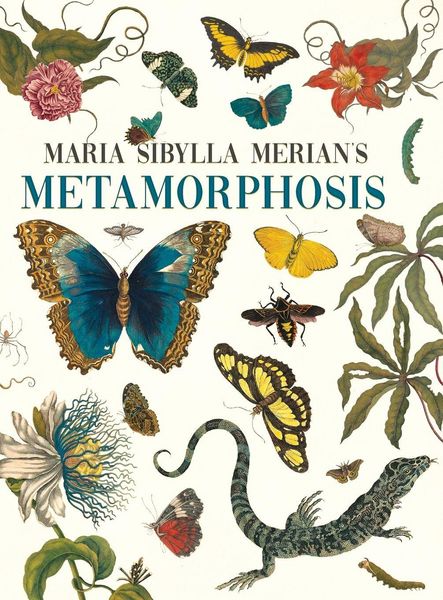 Produktbild: Maria Sibylla Merian's Metamorphosis