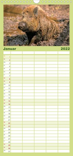 Produktbild: Familienplaner Tiere des Waldes (Wandkalender 2022 , 21 cm x 45 cm, hoch)