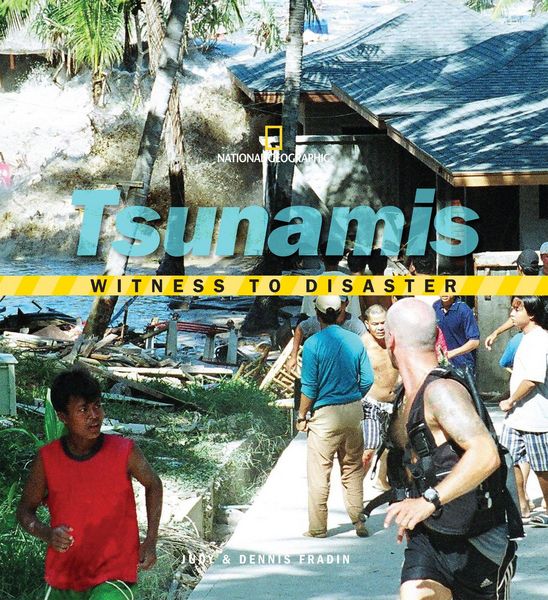 Produktbild: Witness To Disaster Witness To
