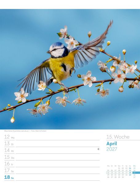 Produktbild: V&ouml;gel Wochenplaner Kalender 2027
