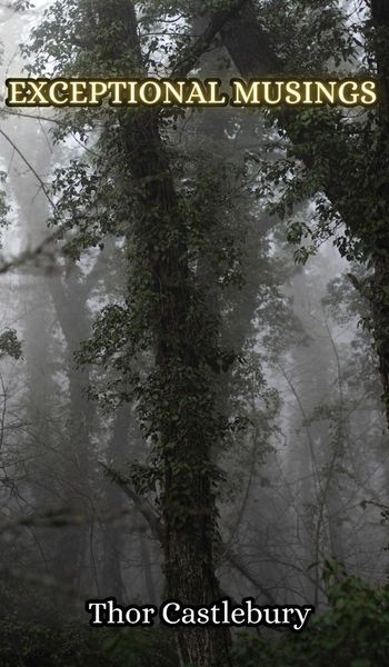 Produktbild: Exceptional Musings